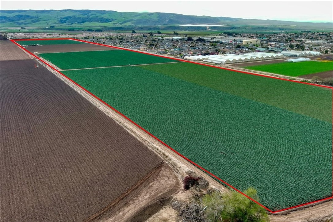 MLS #PI25105426 image #2