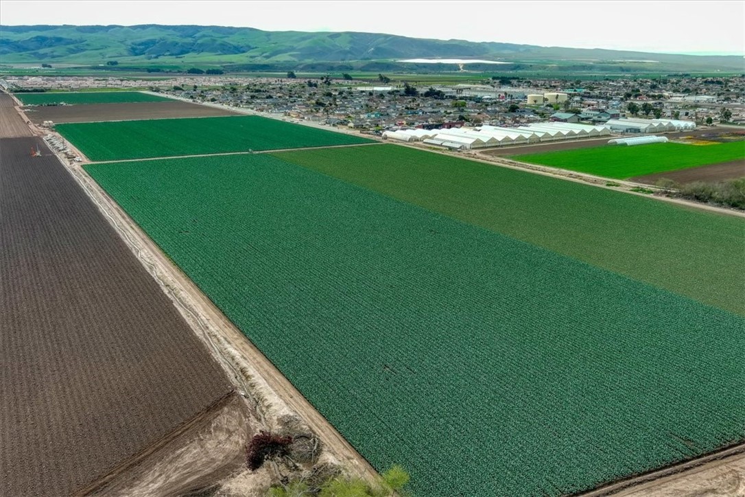 MLS #PI25105426 image #5