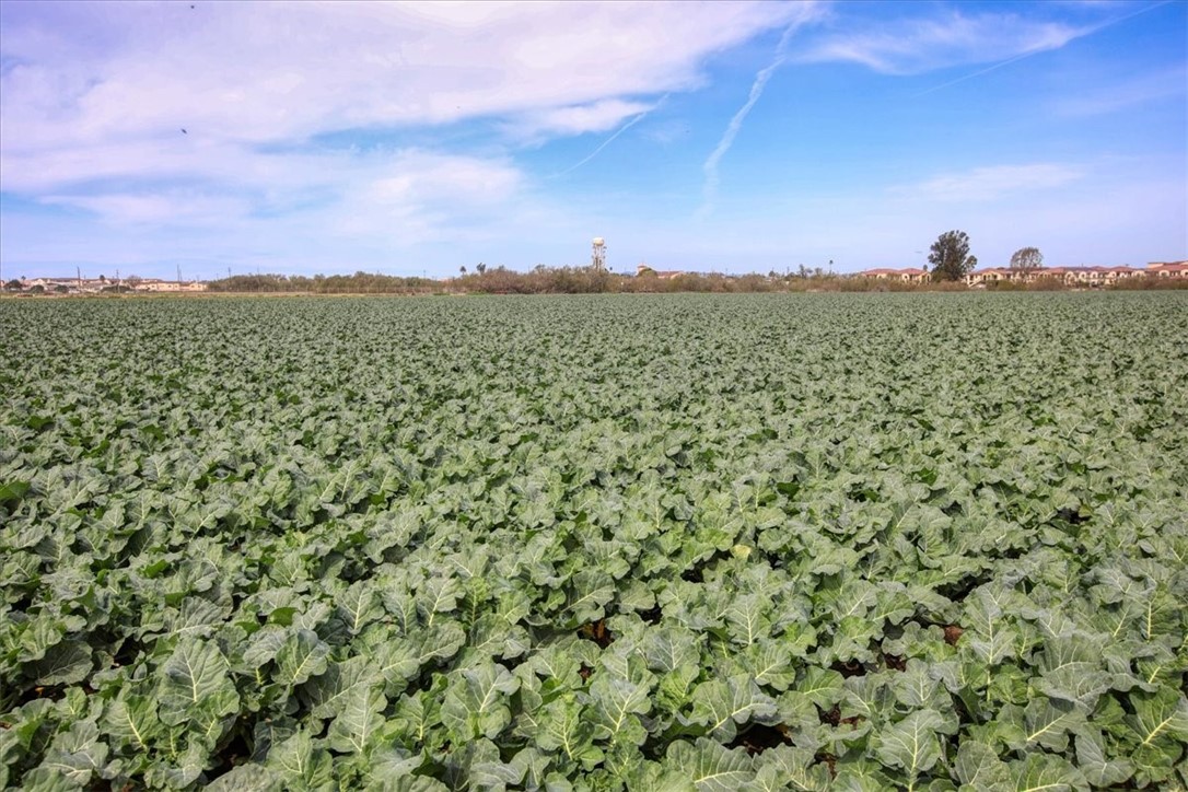 MLS #PI25105426 image #9