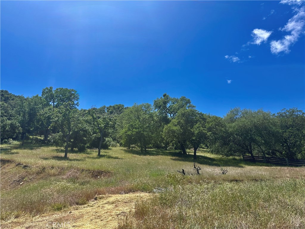 MLS #PI25109403 image #1