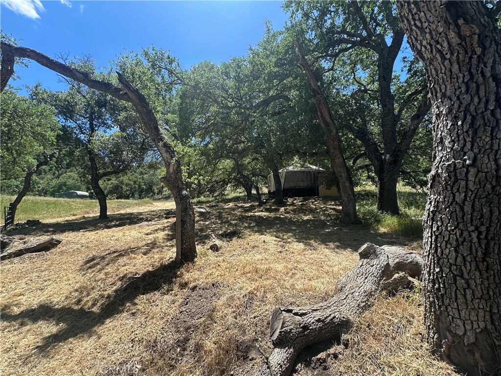 MLS #PI25109403 image #10