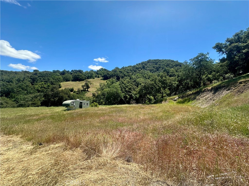 MLS #PI25109403 image #4