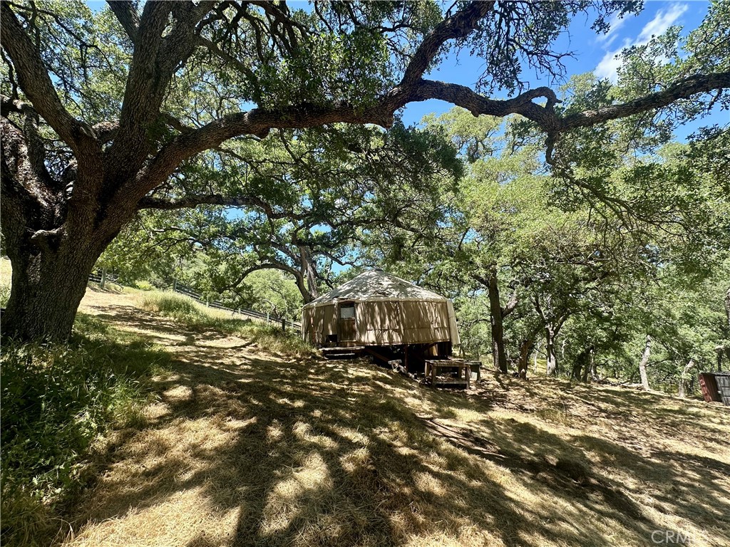 MLS #PI25109403 image #5