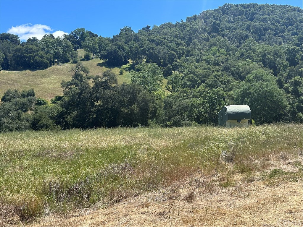 MLS #PI25109403 image #8