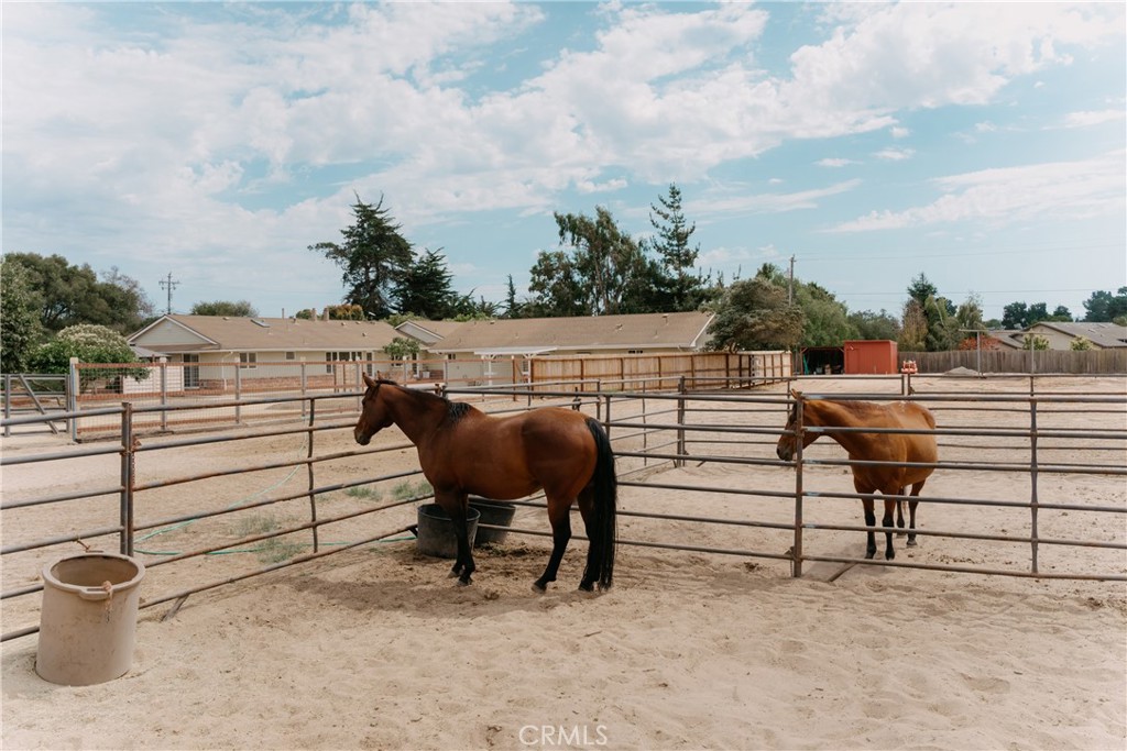 MLS #PI25116300 image #18