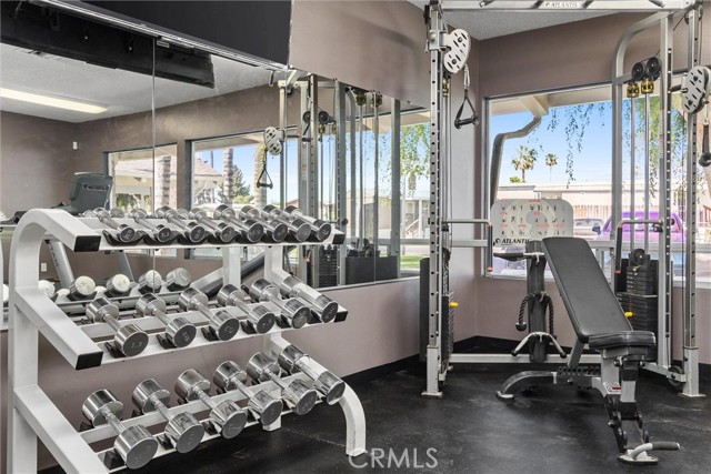 MLS #PI25125266 image #35