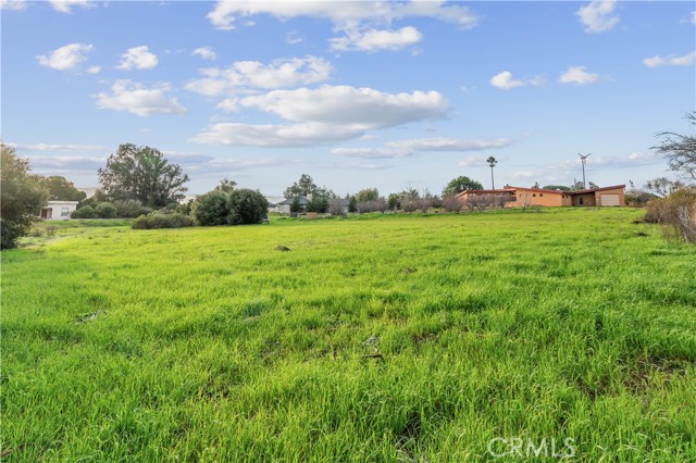 MLS #PI25127061 image #4