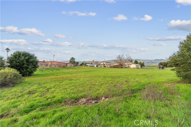 MLS #PI25127061 image #6