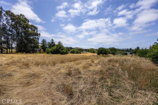 MLS #PI25127061 image #8