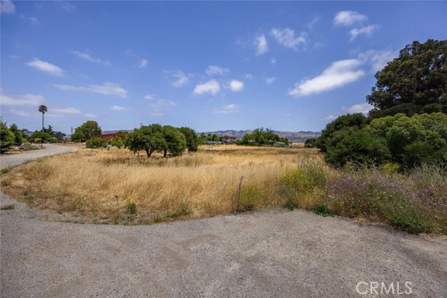 MLS #PI25127061 image #9