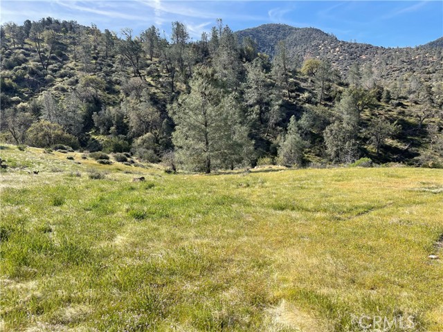 MLS #PI25129590 image #0