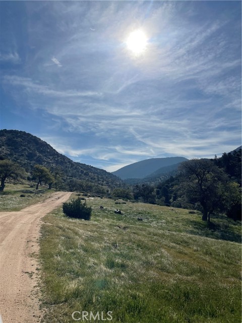 MLS #PI25129590 image #1