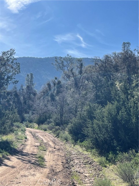 MLS #PI25129590 image #2