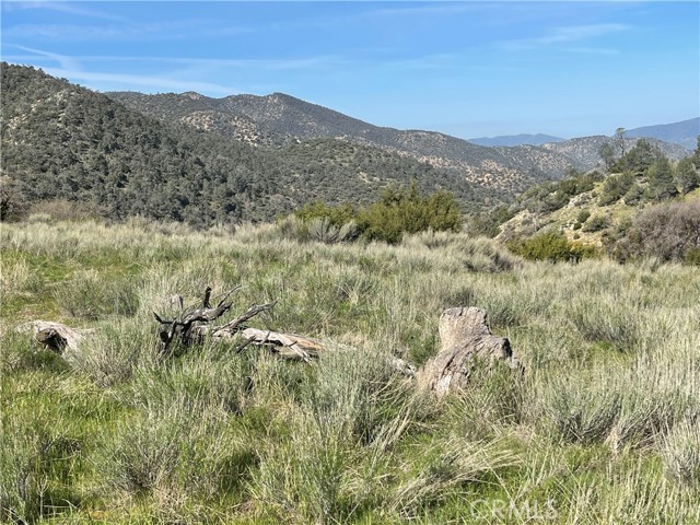 MLS #PI25129590 image #3