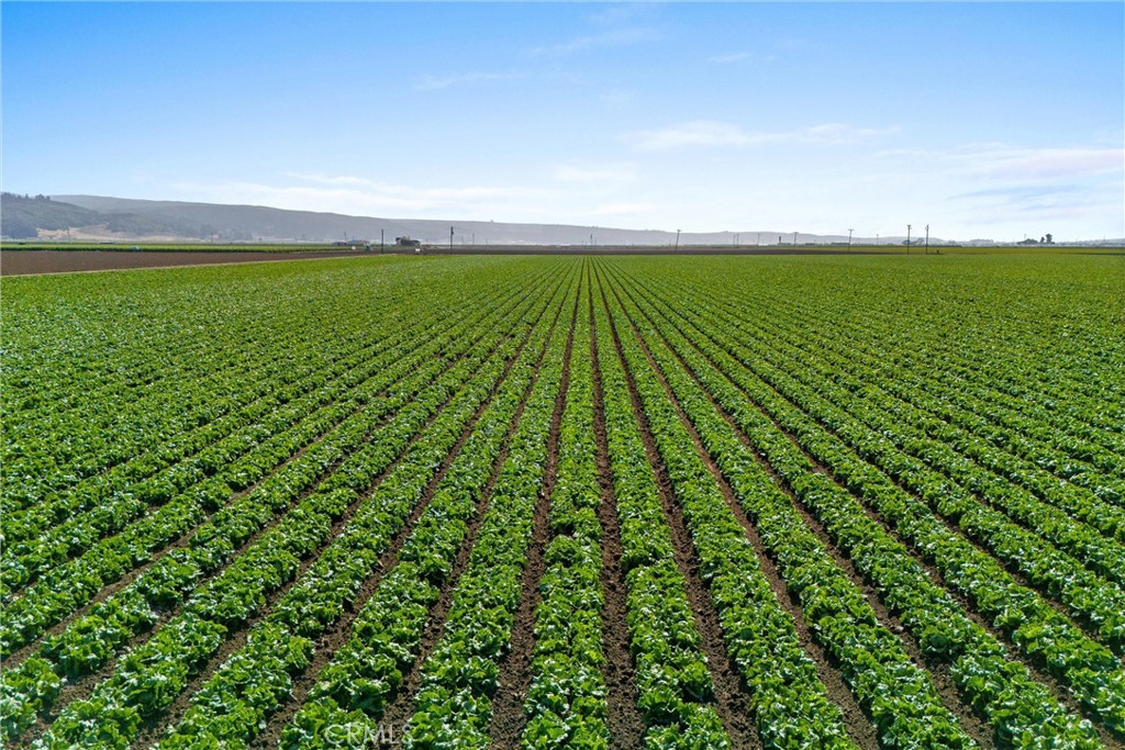 MLS #PI25136830 image #12