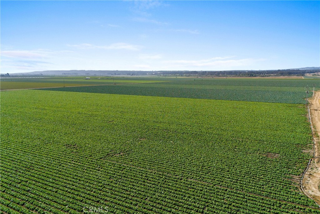 MLS #PI25136830 image #13