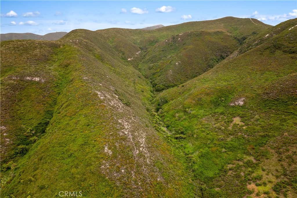 MLS #PI25136830 image #25