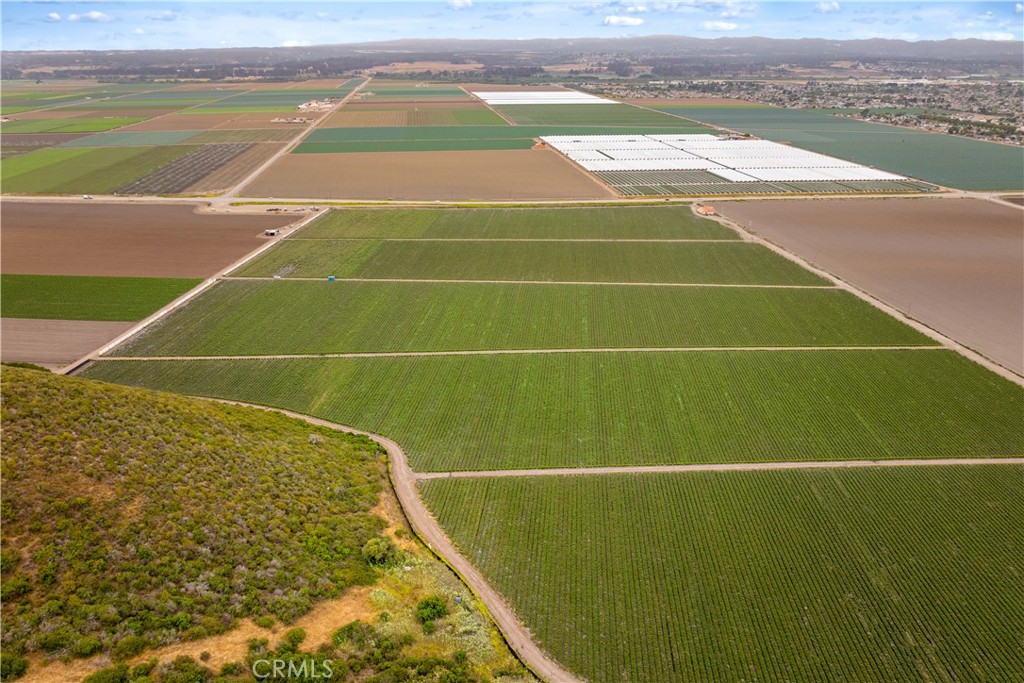 MLS #PI25136830 image #26