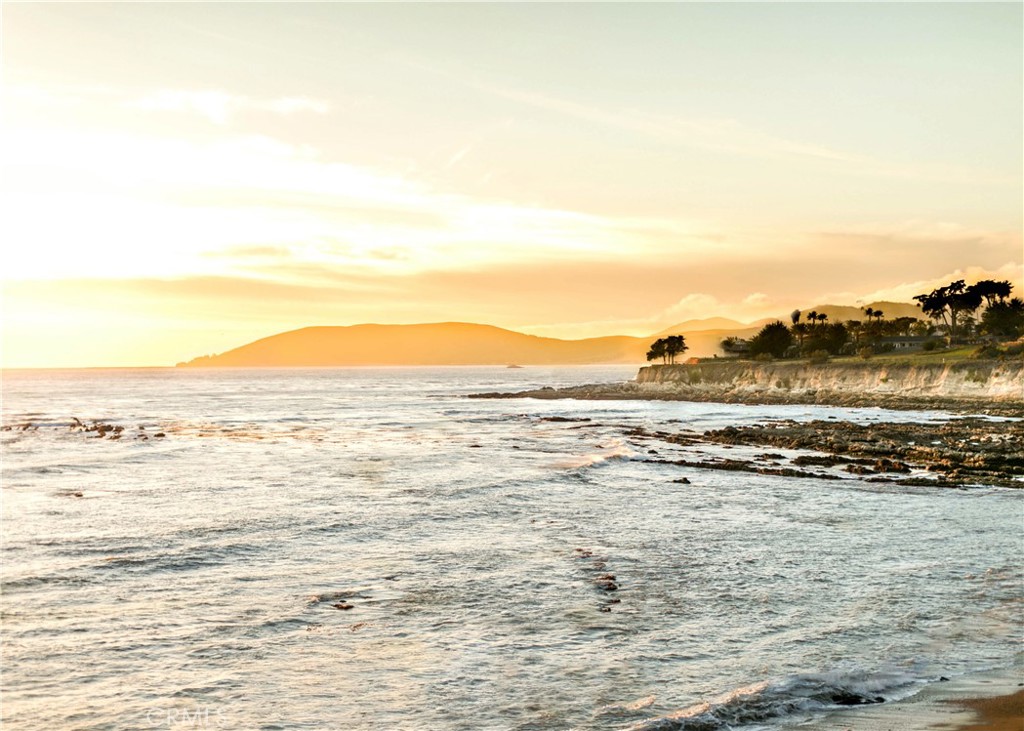 MLS #PI25138617 image #12