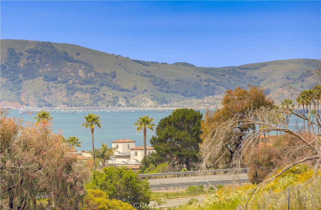 MLS #PI25138617 image #7