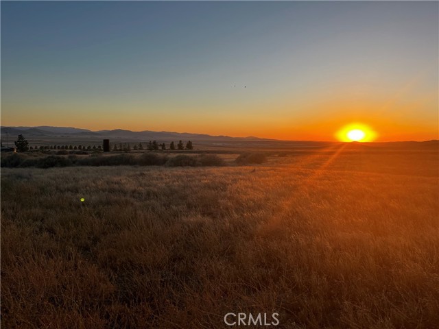 MLS #PI25143602 image #3