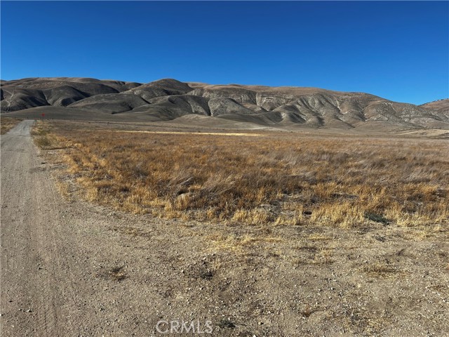 MLS #PI25143620 image #3