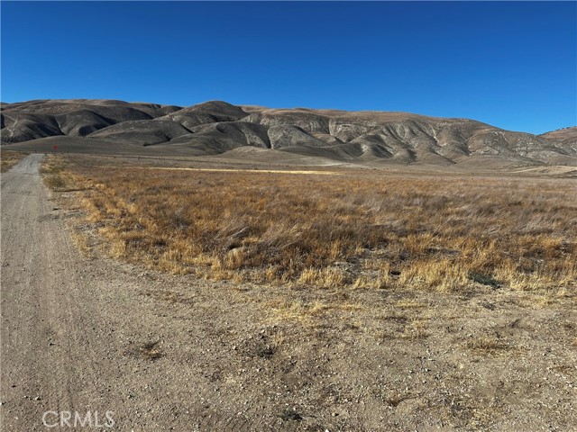 MLS #PI25143664 image #3
