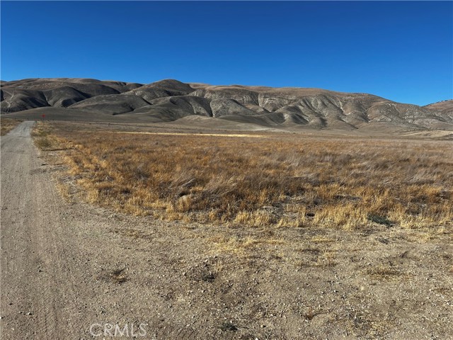 MLS #PI25143699 image #3