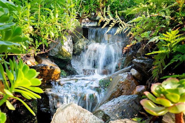 MLS #PI25146117 image #12