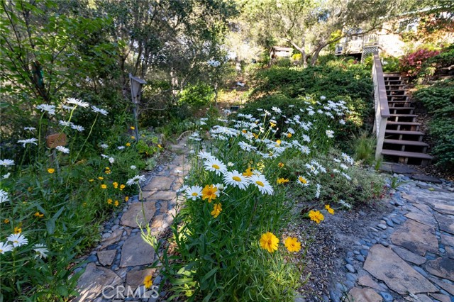 MLS #PI25146117 image #13