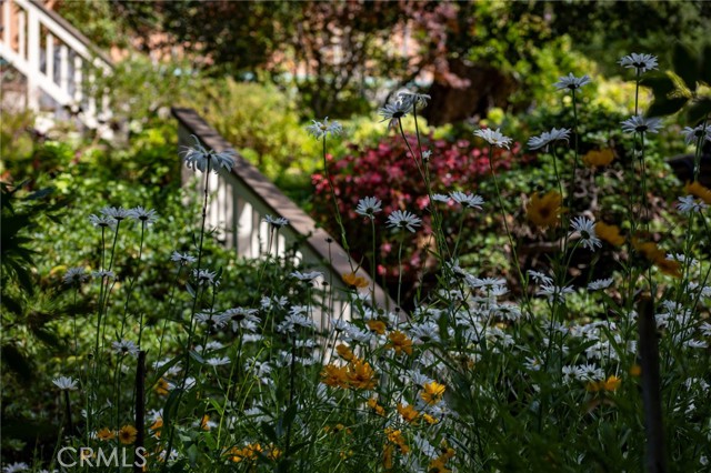 MLS #PI25146117 image #14