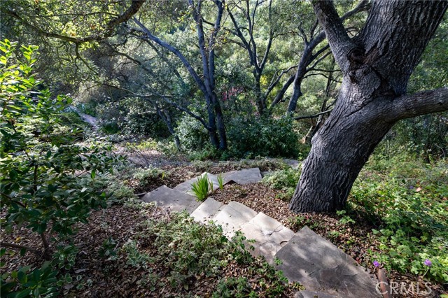 MLS #PI25146117 image #18