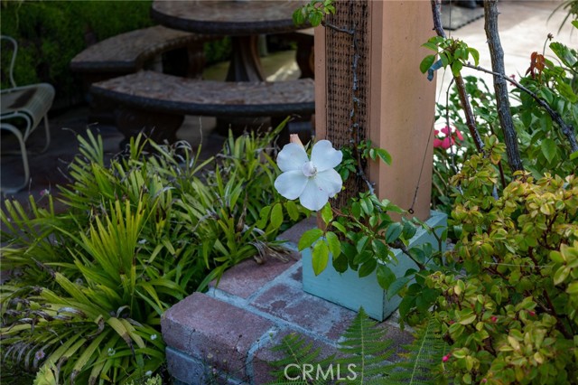 MLS #PI25146117 image #32