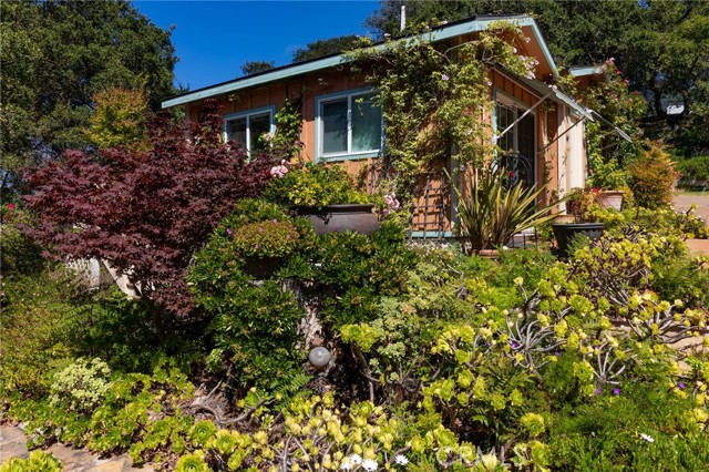 MLS #PI25146117 image #49