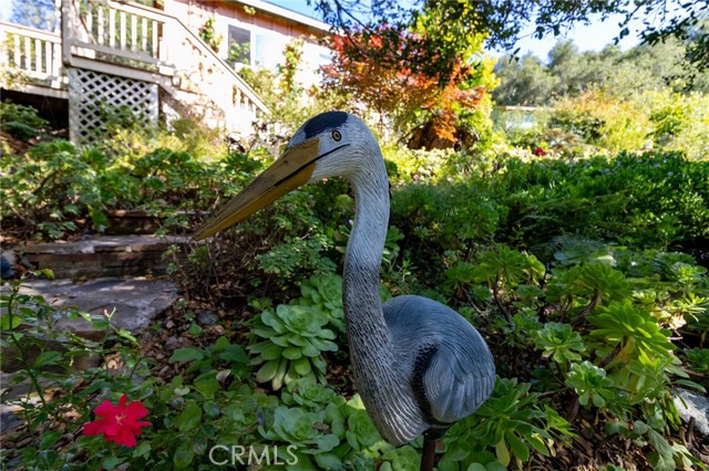 MLS #PI25146117 image #51