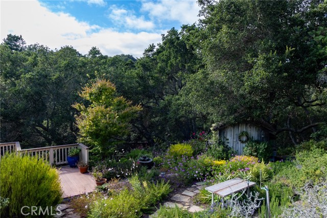 MLS #PI25146117 image #52