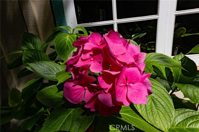 MLS #PI25146117 image #54