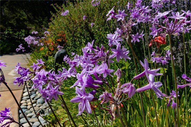 MLS #PI25146117 image #56