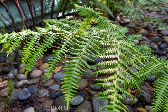 MLS #PI25146117 image #57