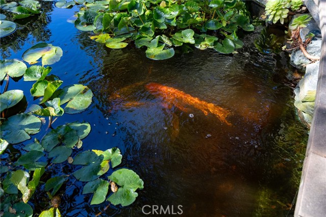 MLS #PI25146117 image #59