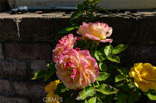 MLS #PI25146117 image #60