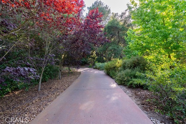 MLS #PI25146117 image #68