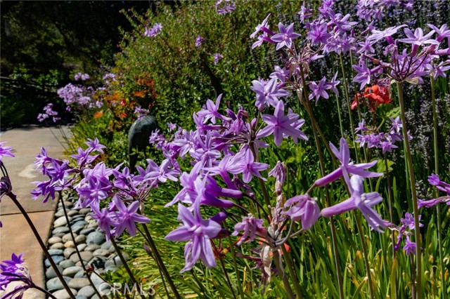 MLS #PI25146117 image #77