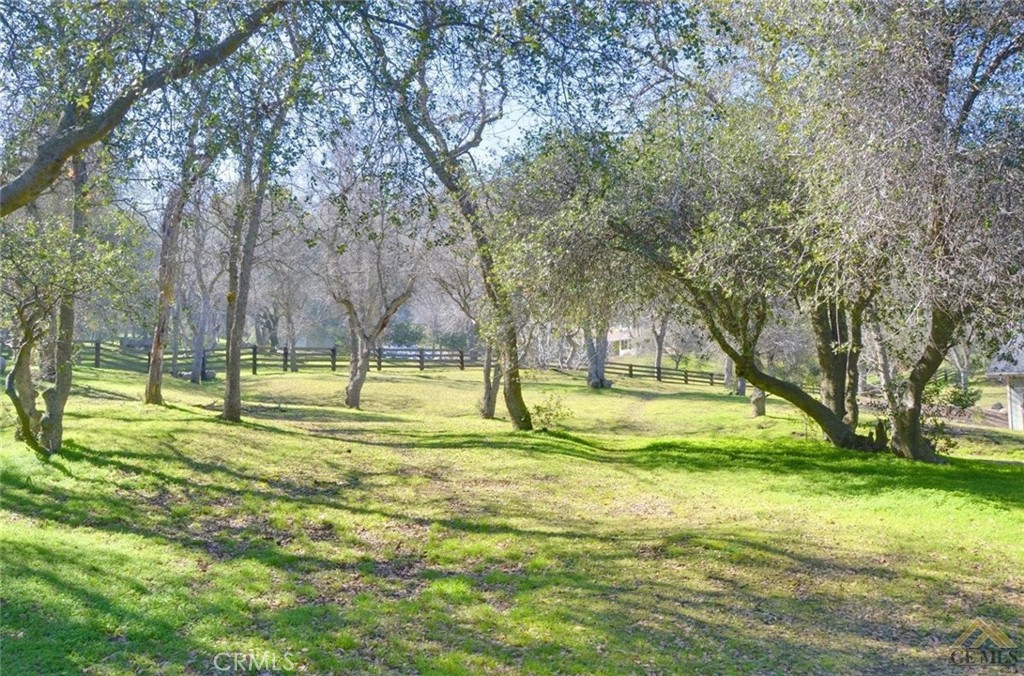 MLS #PI25149858 image #2