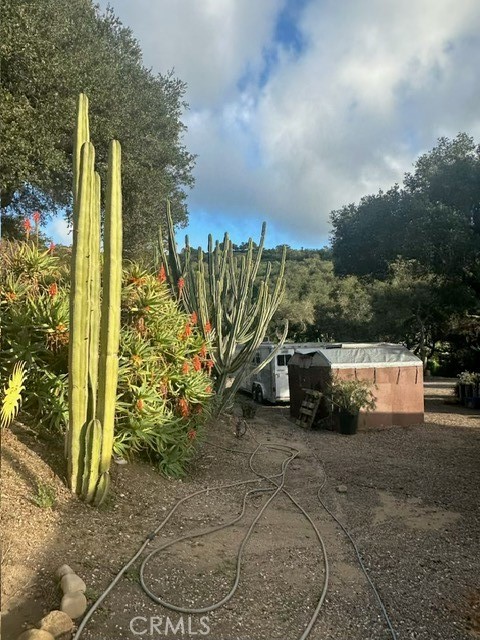 MLS #PI25149969 image #49