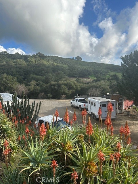 MLS #PI25149969 image #53