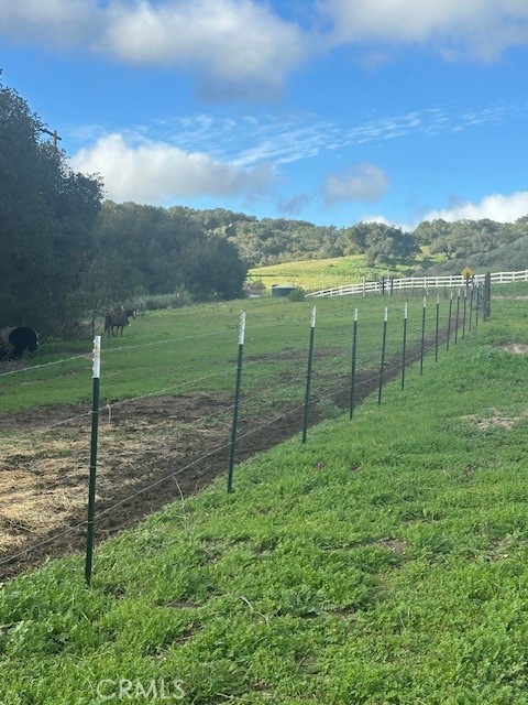 MLS #PI25149969 image #55