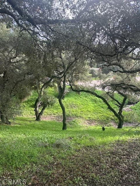 MLS #PI25149969 image #56