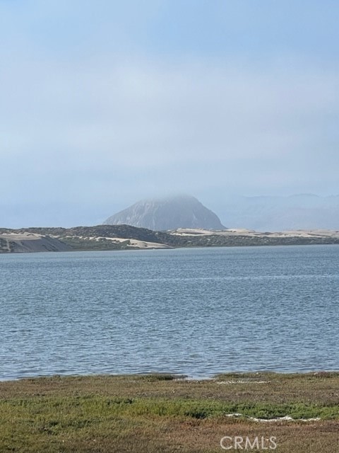 MLS #PI25156457 image #0