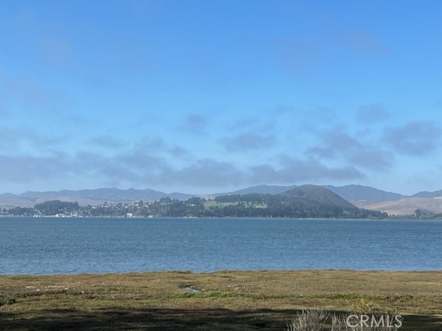 MLS #PI25156457 image #11